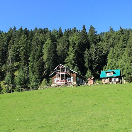 Hotel Peaceful Mornings Srinagar Zewnętrze zdjęcie
